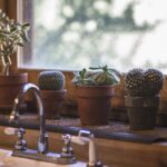 Three cactuses are on the ledge of a kitchen sink.
