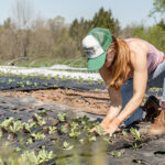 A photo of a women planting seedlings
